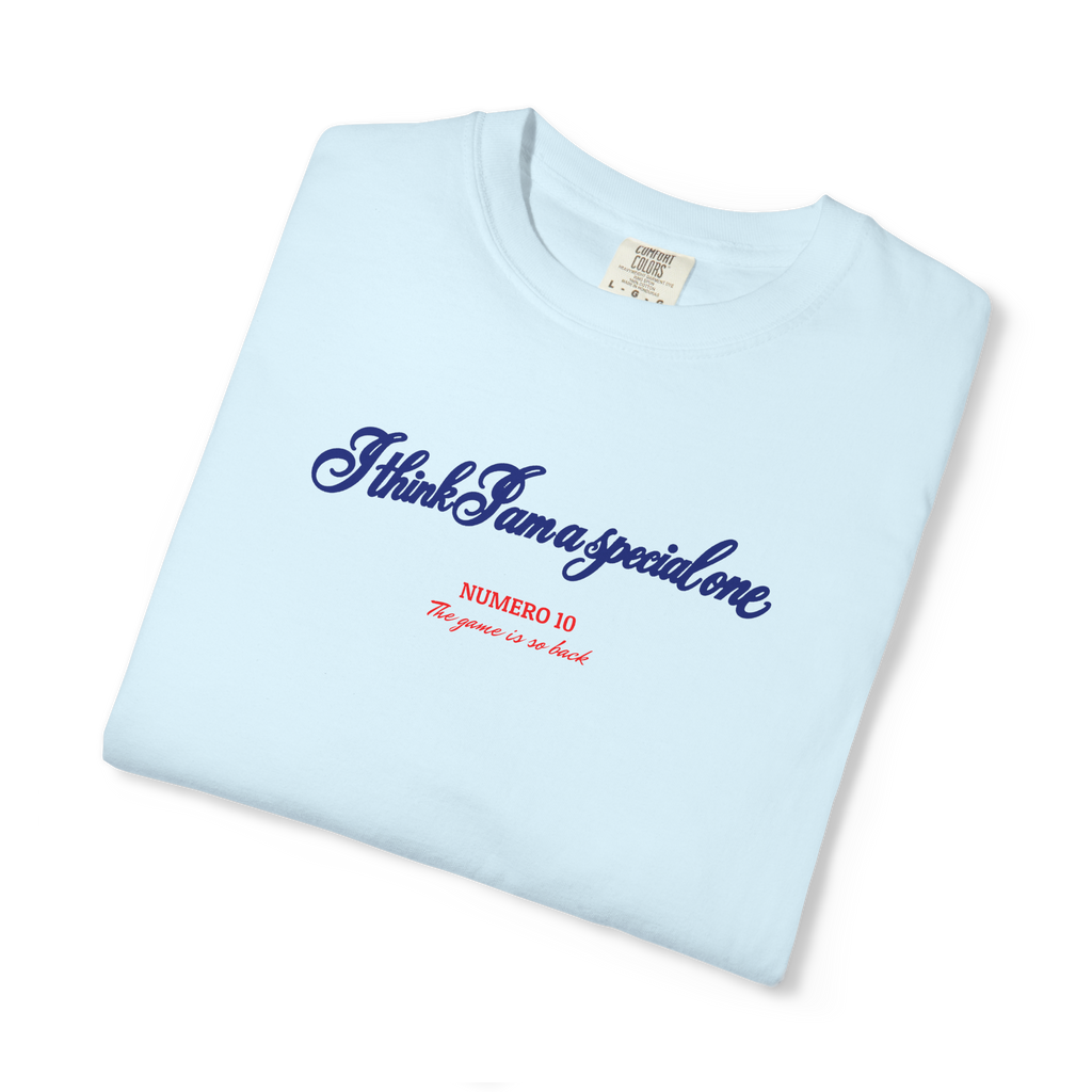 Special One — Heavyweight Tee
