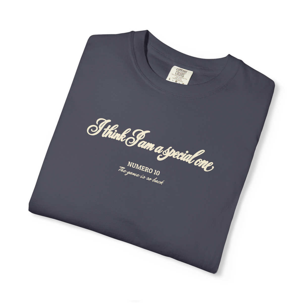 Special One — Heavyweight Tee