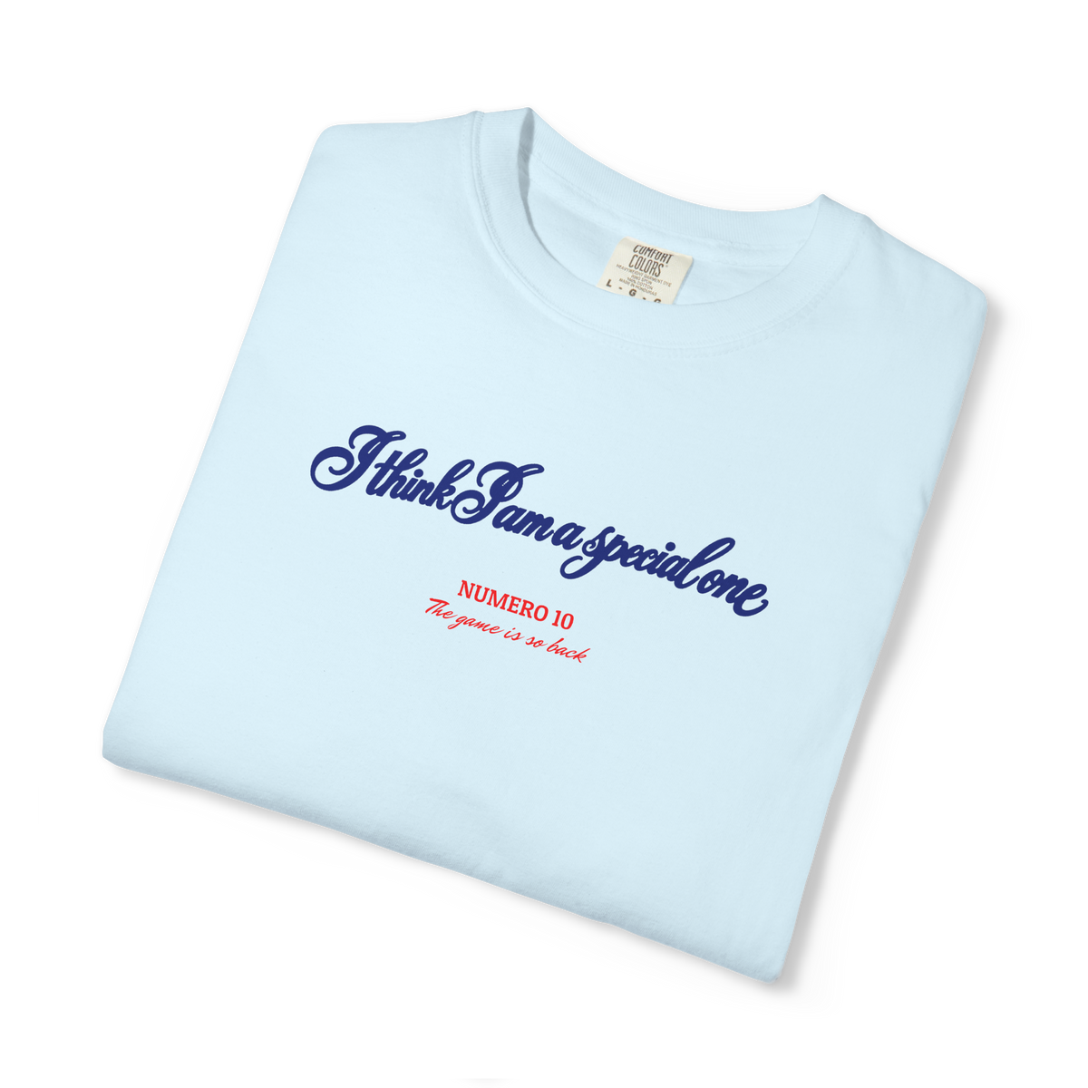 Special One — Heavyweight Tee