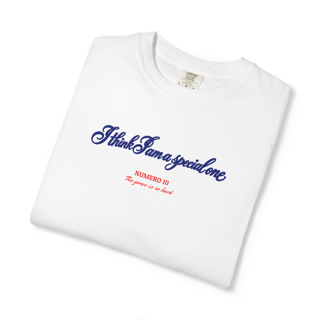 Special One — Heavyweight Tee